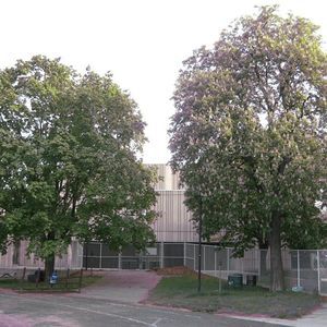 Meet your Posher, Paul